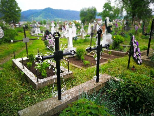 img00027.jpg