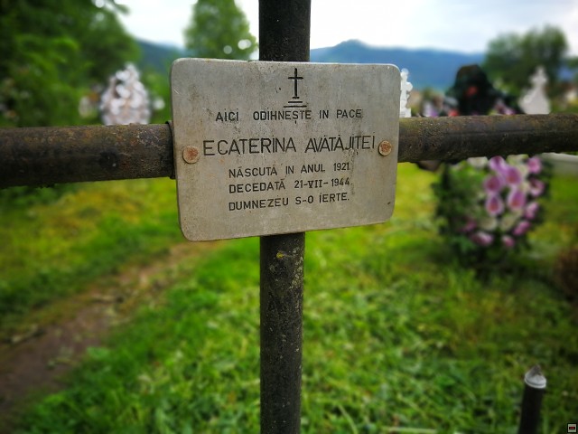 img00029.jpg