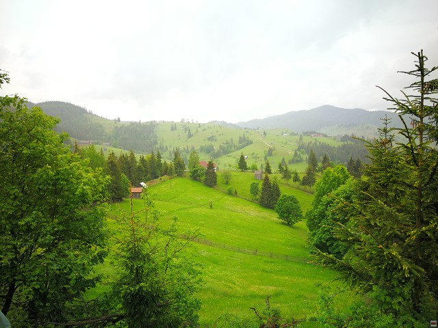 img00031.jpg