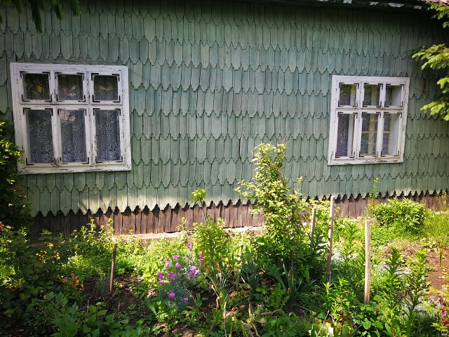 img00042.jpg