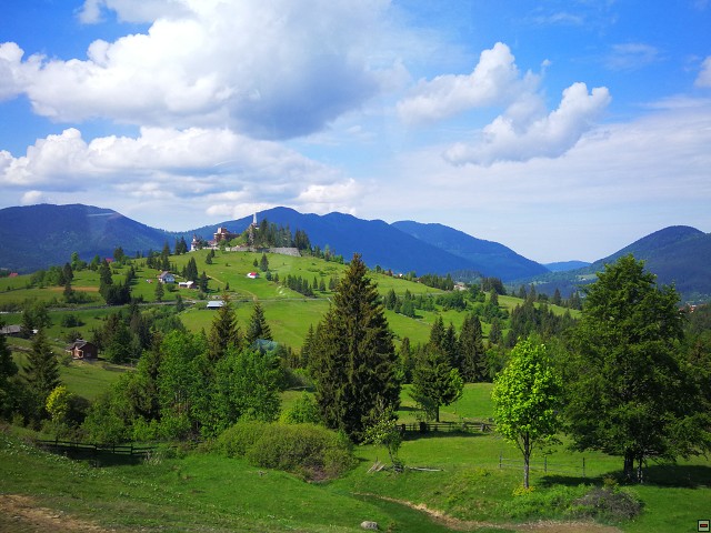 img00001.jpg