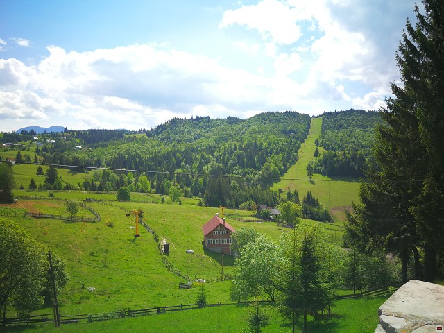 img00003.jpg