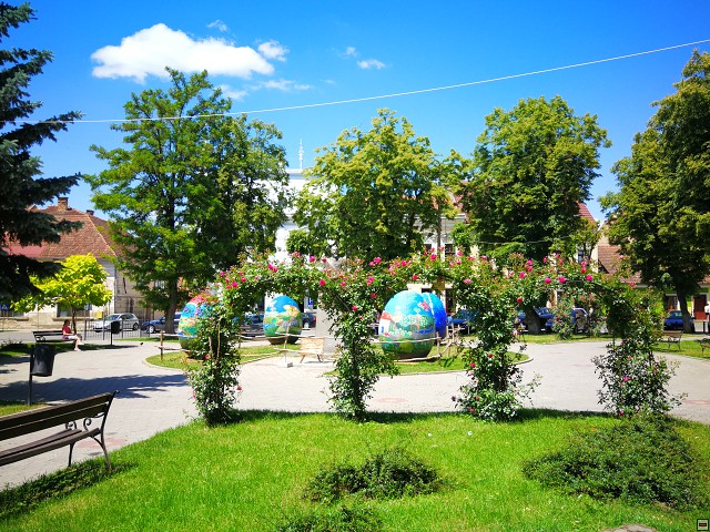 img00008.jpg