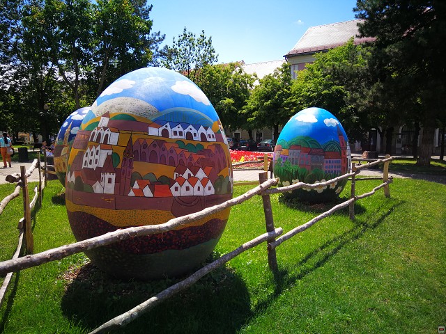 img00012.jpg