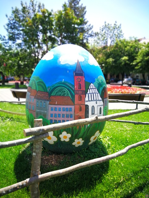 img00013.jpg