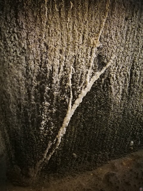 img00011.jpg
