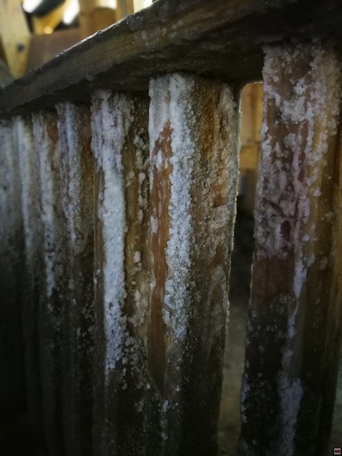img00022.jpg
