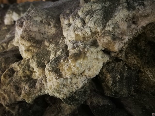 img00023.jpg