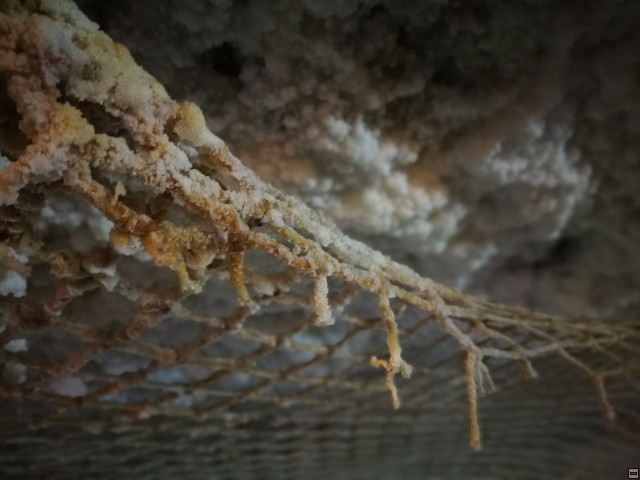 img00028.jpg