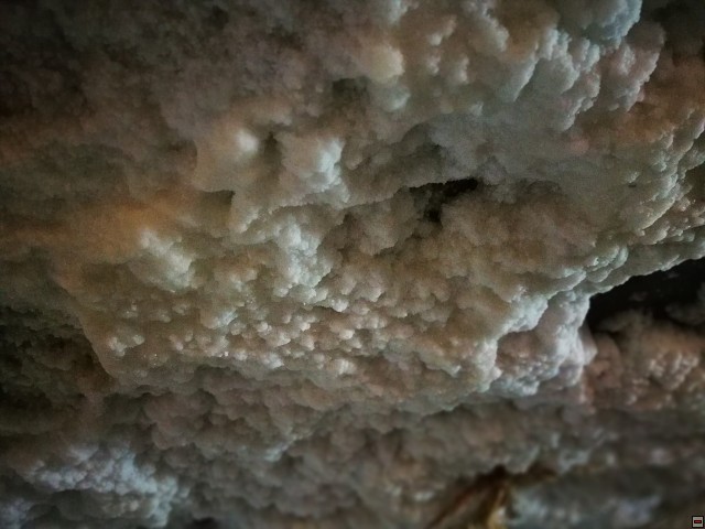 img00029.jpg