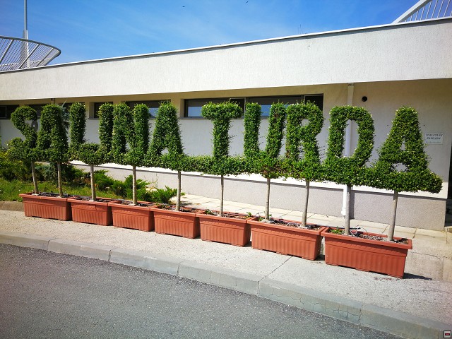 img00031.jpg