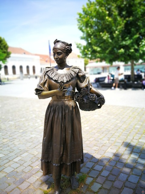 img00037.jpg