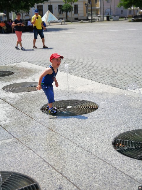 img00049.jpg