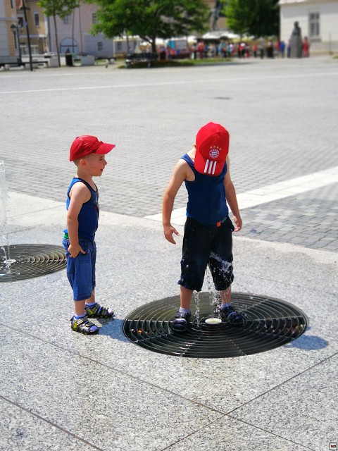 img00050.jpg