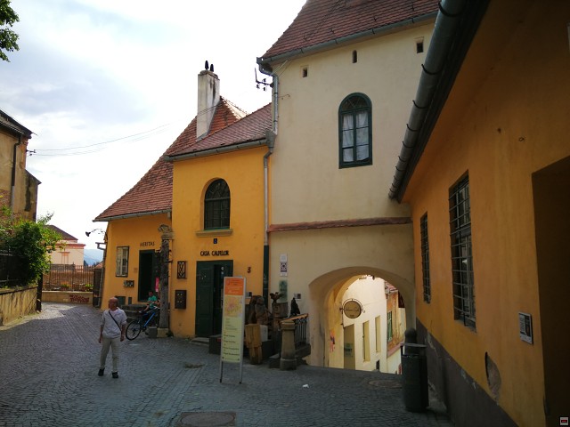 img00072.jpg
