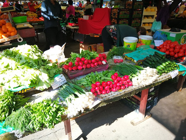img00001.jpg
