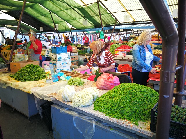 img00002.jpg