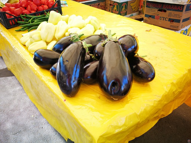 img00005.jpg