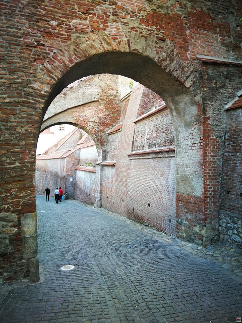img00016.jpg