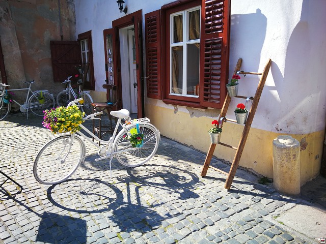 img00017.jpg