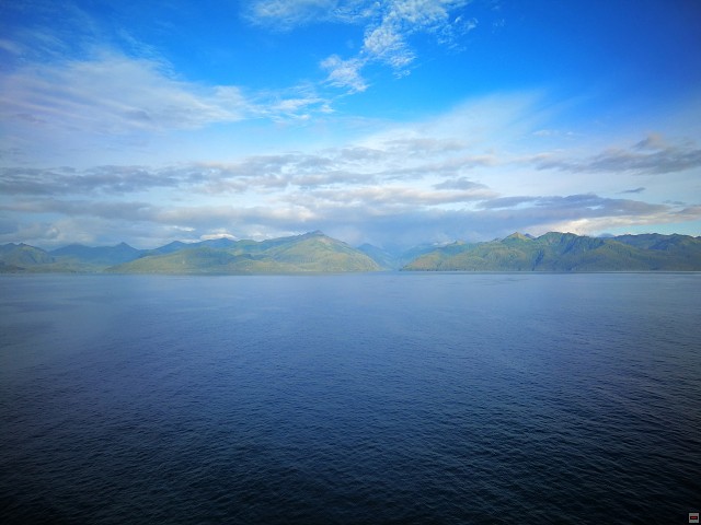 img00005.jpg