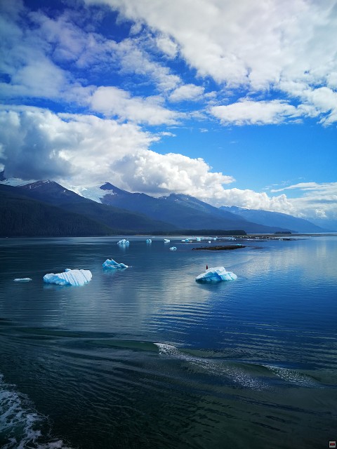 img00010.jpg