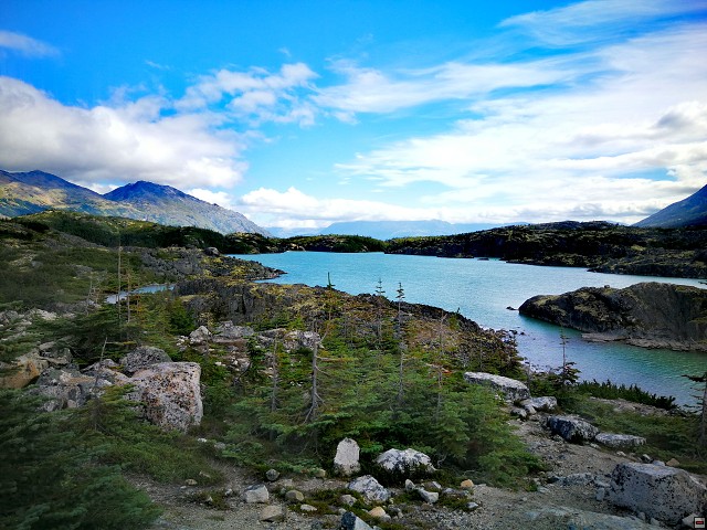 img00009.jpg