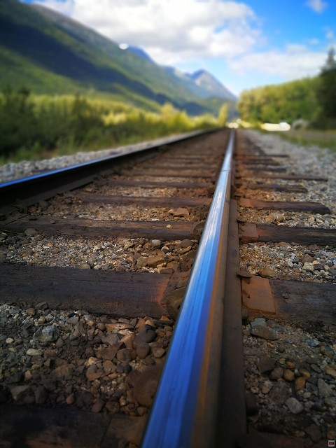 img00040.jpg