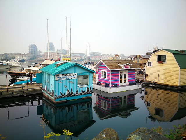 img00010.jpg