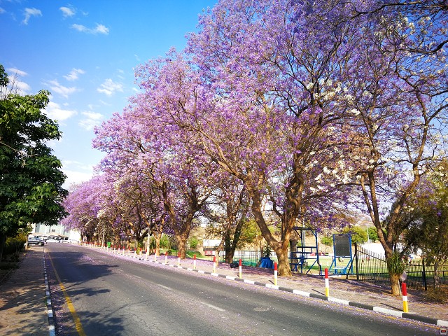 img00005.jpg