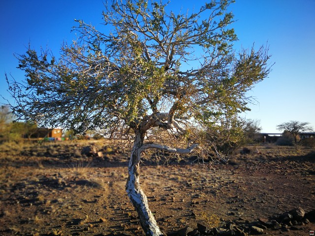 img00003.jpg