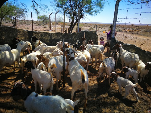 img00012.jpg