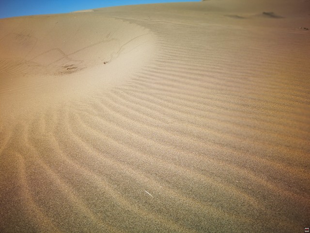 img00068.jpg