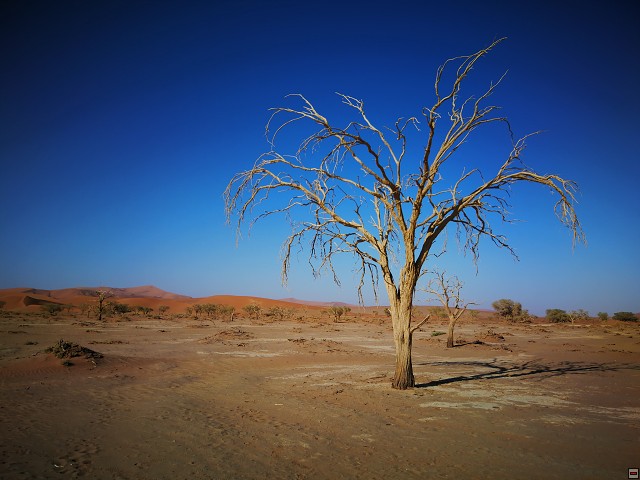 img00010.jpg