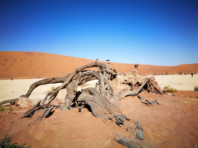 img00038.jpg