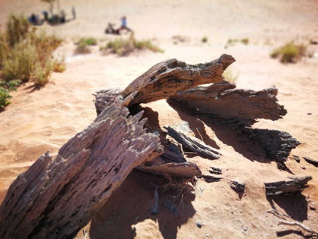 img00041.jpg