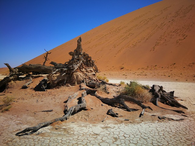 img00042.jpg