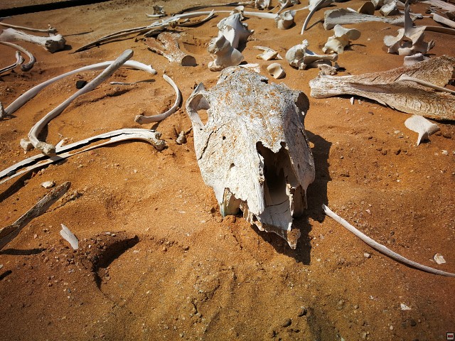 img00024.jpg