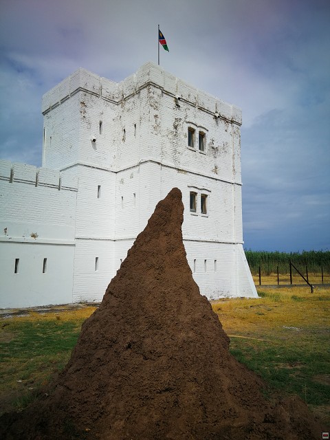 img00005.jpg