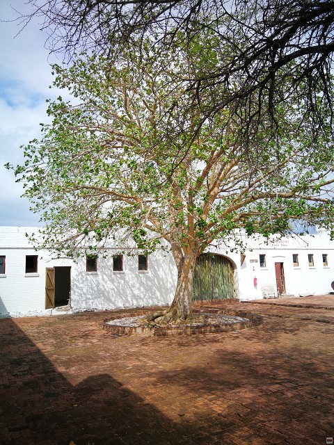 img00010.jpg