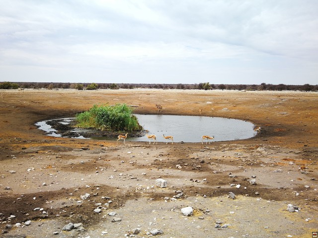 img00013.jpg