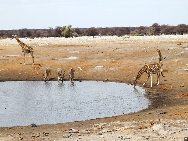 img00014.jpg
