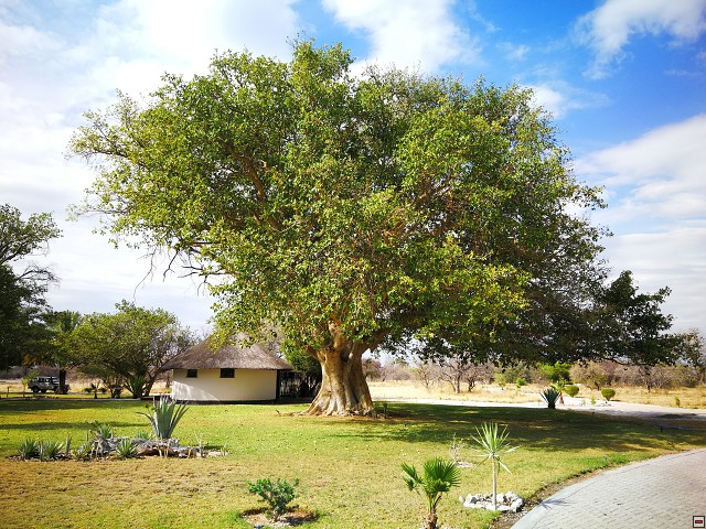 img00016.jpg