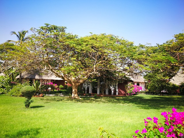 img00003.jpg