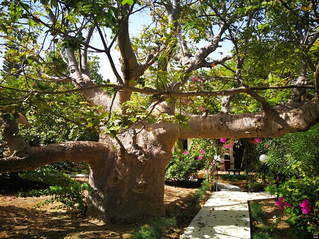 img00005.jpg