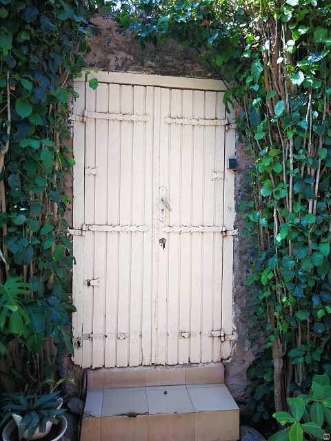 img00029.jpg