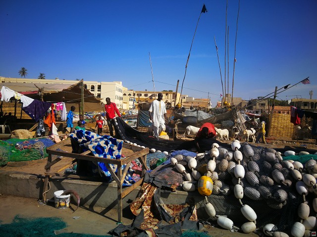 img00097.jpg