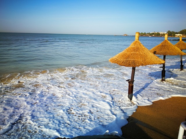 img00143.jpg