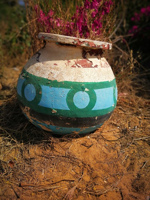 img00194.jpg