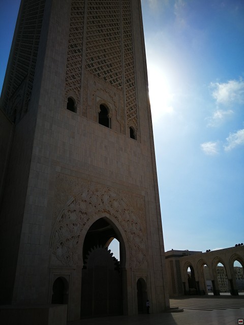 img00009.jpg